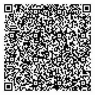 vCard 78126448381