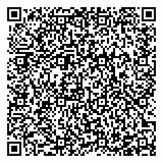vCard 78126460383