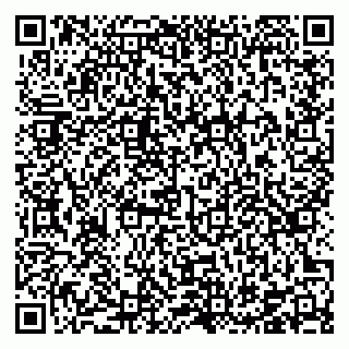 vCard 78126477381