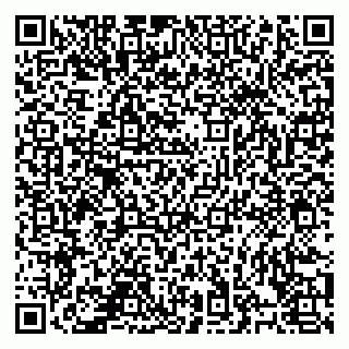 vCard 78126485383