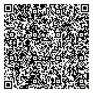 vCard 78126485384