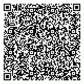 vCard 78126487380