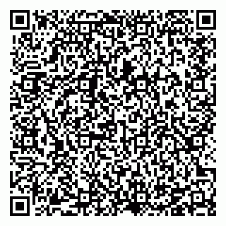 vCard 78126487381