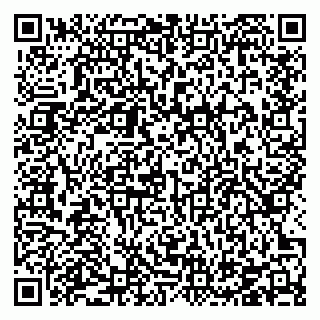 vCard 78126487384
