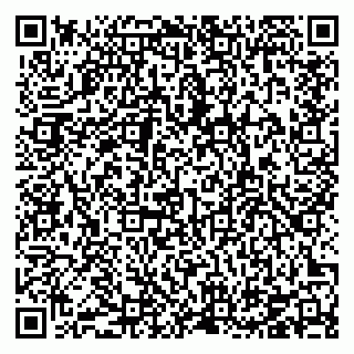 vCard 78126489381