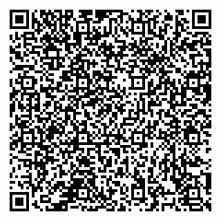vCard 78126500133