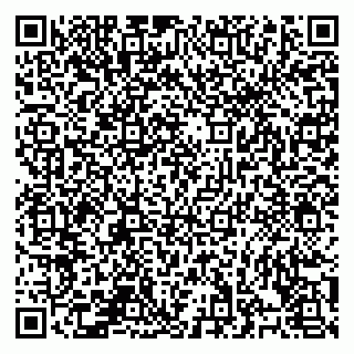 vCard 78126500281