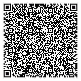 vCard 78126500288