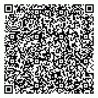 vCard 78126600384