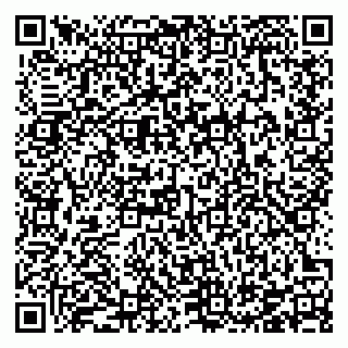 vCard 78126704119