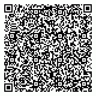 vCard 78126704131