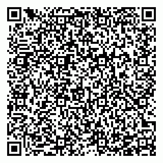 vCard 78126704133