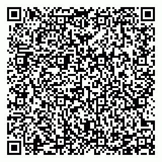 vCard 78126707379