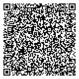 vCard 78126709924