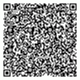vCard 78126780313