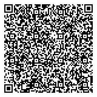 vCard 78126780381