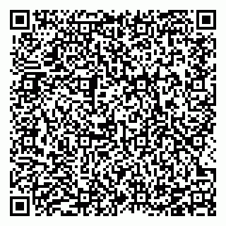 vCard 78126780384
