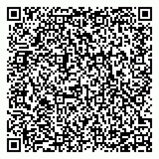 vCard 78126780387