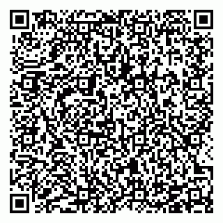 vCard 78126803584