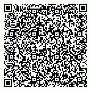 vCard 78127011080