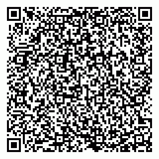vCard 78127026381