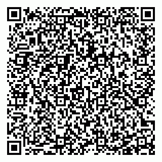 vCard 78127031033