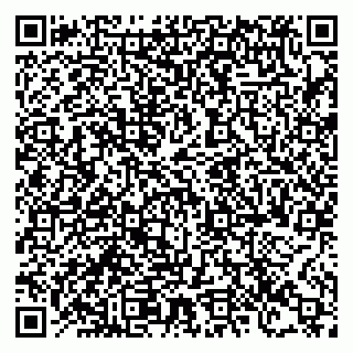 vCard 78127033129