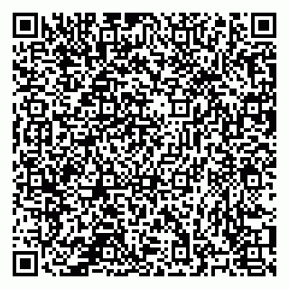 vCard 78127033133