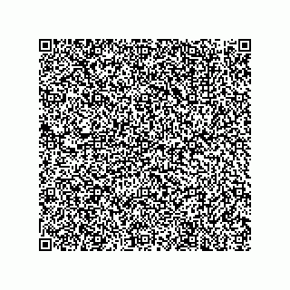 vCard 78127033137