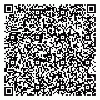 vCard 78127091384