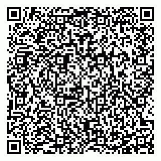 vCard 78127184096