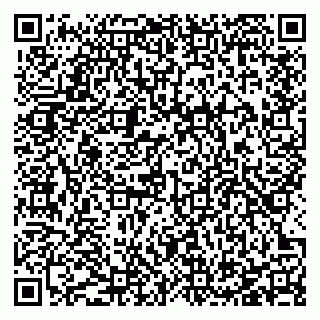 vCard 78127185384