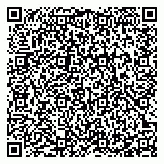 vCard 78127190302