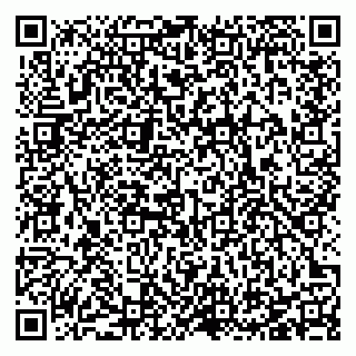 vCard 78127190381