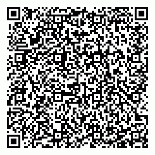vCard 78127190387