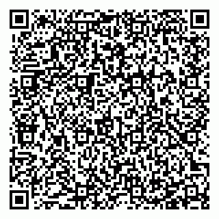 vCard 78127401333