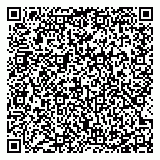 vCard 78127401334