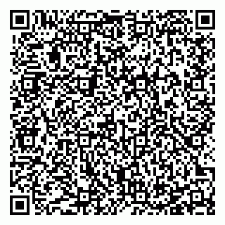 vCard 78127401341