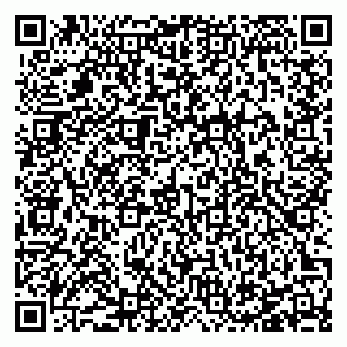 vCard 78127401343