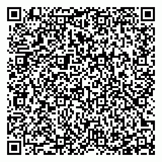 vCard 78127401373