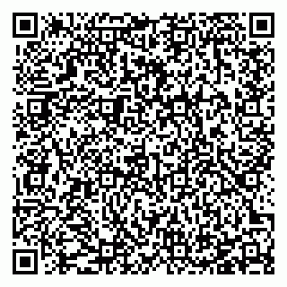 vCard 78127401379