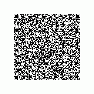vCard 78127401381