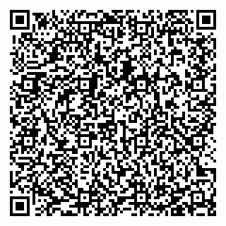 vCard 78127404010