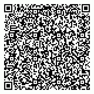 vCard 78127404011