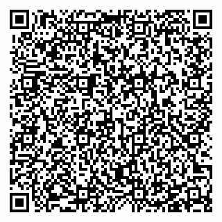 vCard 78127404013