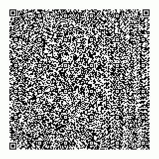 vCard 78127404020