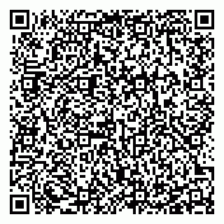 vCard 78127404029