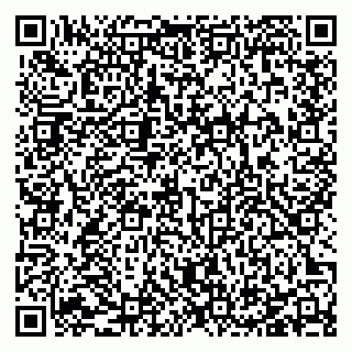 vCard 78127404032