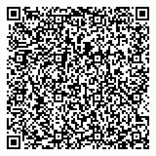 vCard 78127404064
