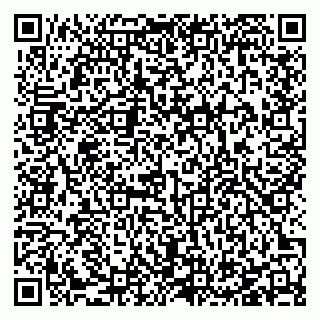 vCard 78127404081